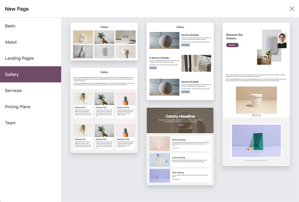 website snipppet