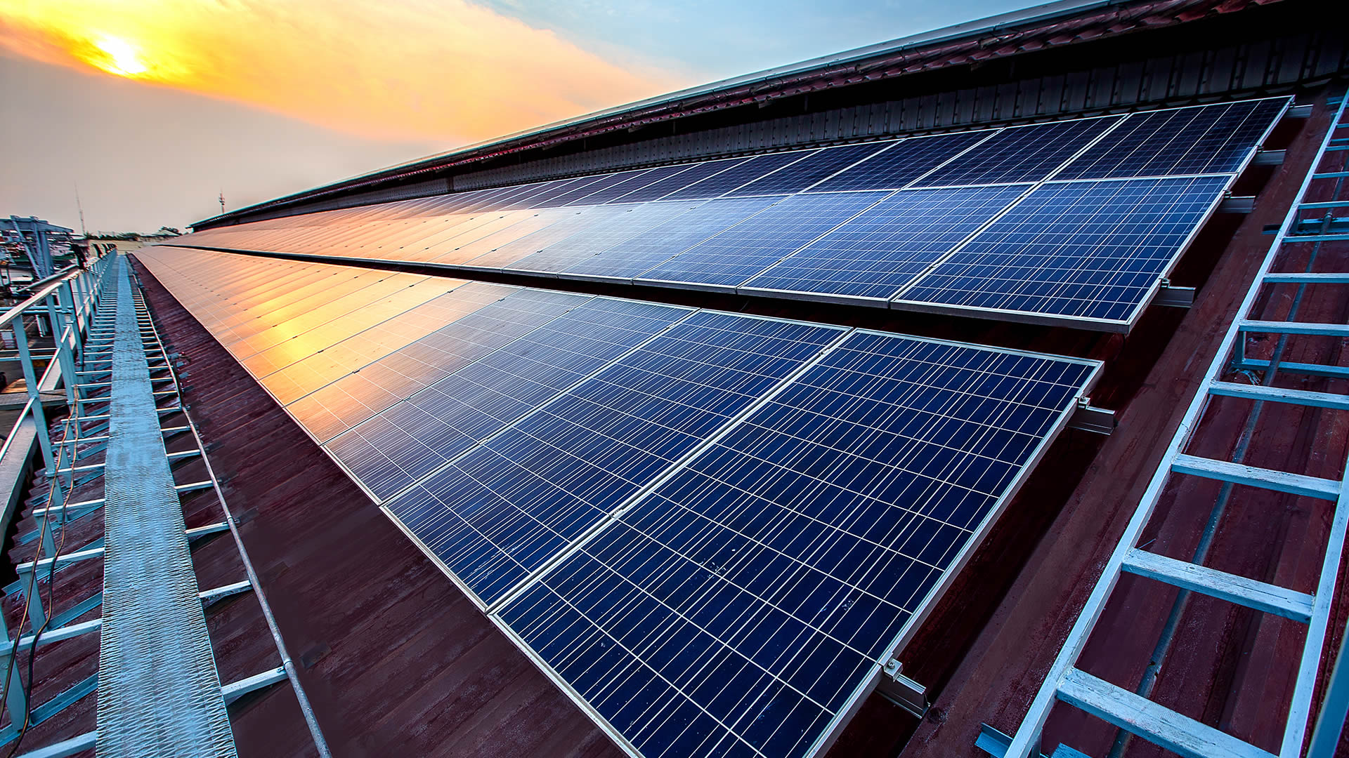 Solar panel business